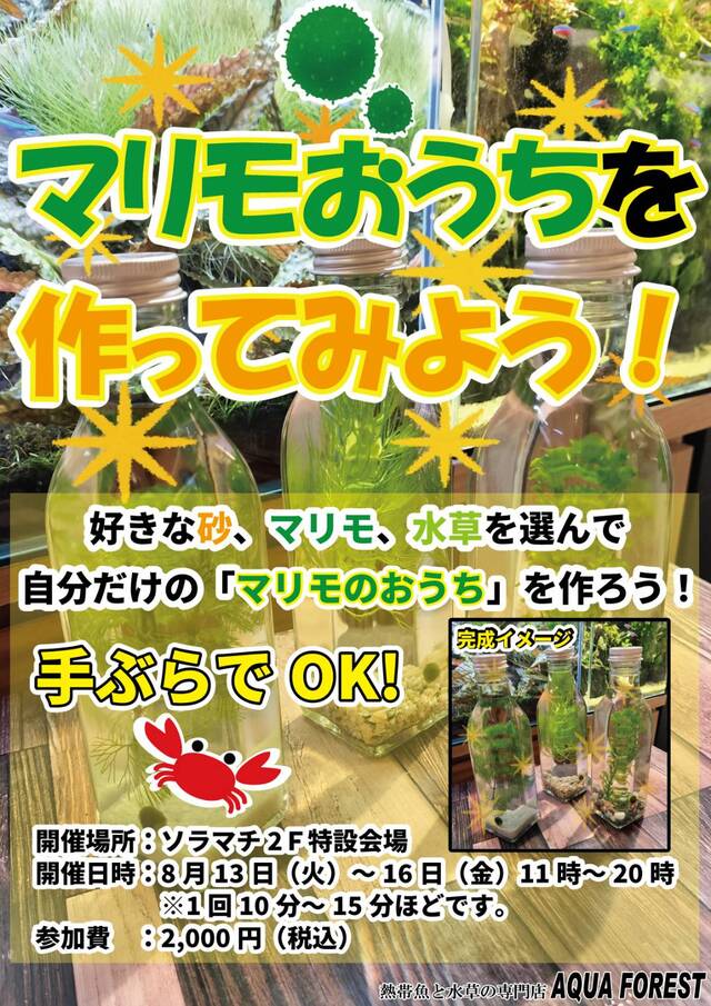 東京ソラマチ 300以上の多彩な店舗が織りなす、新しい下町