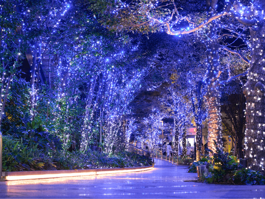 イルミネーション｜東京ソラマチ®ドリームクリスマス2024｜東京ソラマチ